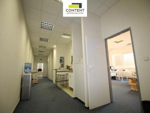 Pronájem obchodního prostoru, Brno - Slatina, Řípská, 800 m2