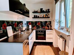 Pronájem bytu 4+kk, Ústí nad Labem - Ústí nad Labem-centrum, Hilarova, 80 m2