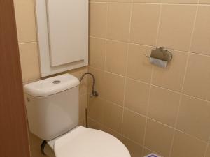 Pronájem bytu 2+kk, Rybnice, 46 m2