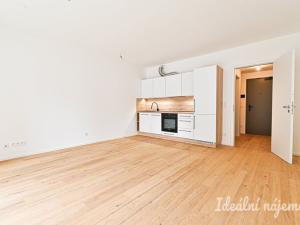 Pronájem bytu 1+kk, Brno, Bratislavská, 37 m2