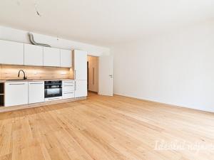 Pronájem bytu 1+kk, Brno, Bratislavská, 37 m2