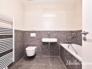 Pronájem bytu 1+kk, Brno, Bratislavská, 37 m2