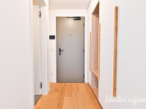 Pronájem bytu 1+kk, Brno, Bratislavská, 37 m2