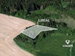 Prodej podílu lesa, Horka II, 821 m2