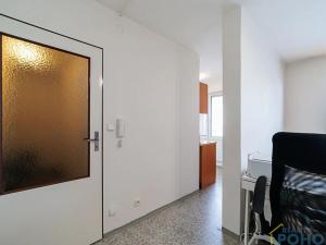 Prodej bytu 1+1, Vysoké Mýto, náměstí Naděje, 29 m2