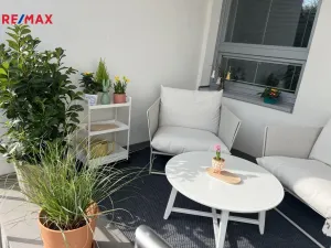 Pronájem kanceláře, Třebíč - Nové Město, Brněnská, 31 m2