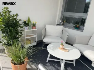 Pronájem kanceláře, Třebíč - Nové Město, Brněnská, 31 m2