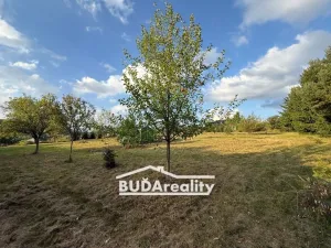 Prodej pozemku pro bydlení, Vysoké Pole, 1250 m2