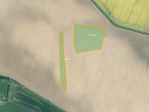 Prodej louky, Cerhonice, 41957 m2