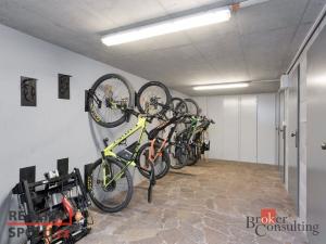 Prodej bytu 3+kk, Železná Ruda - Špičák, 58 m2