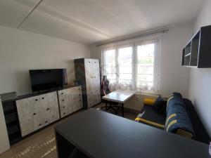 Pronájem bytu 1+kk, Karlovy Vary - Drahovice, 19 m2