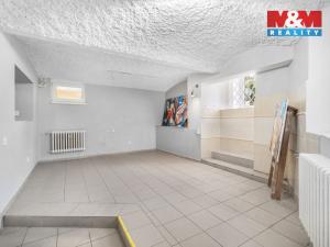 Prodej obchodního prostoru, Liberec - Liberec IV-Perštýn, Na Perštýně, 53 m2
