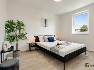 Prodej bytu 2+kk, Hustopeče, Brněnská, 40 m2