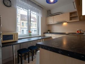 Prodej bytu 2+1, Brno, Hlinky, 54 m2