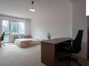 Prodej bytu 2+1, Brno, Hlinky, 54 m2