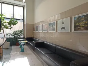 Pronájem kanceláře, Praha - Nové Město, Opletalova, 25 m2
