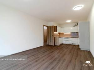 Prodej bytu 2+kk, Plzeň, Studentská, 58 m2