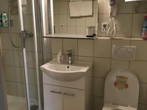Pronájem bytu 1+1, Plzeň, Květná, 40 m2