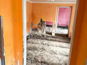 Prodej rodinného domu, Loučka, 200 m2