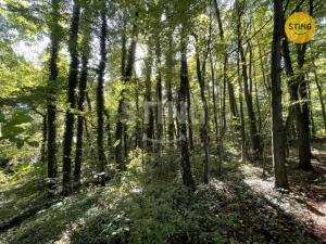 Prodej lesa, Hnojník, 9789 m2