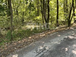 Prodej lesa, Hnojník, 9789 m2