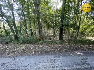 Prodej lesa, Hnojník, 9789 m2