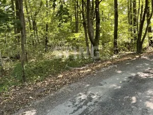 Prodej lesa, Hnojník, 9789 m2