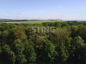 Prodej lesa, Hnojník, 9789 m2