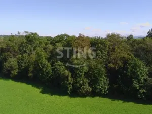 Prodej lesa, Hnojník, 9789 m2