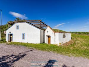 Prodej obchodního prostoru, Šatov, 3031 m2