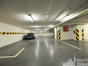Pronájem bytu 3+kk, Praha - Vinohrady, Mánesova, 124 m2
