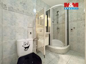 Pronájem bytu 2+1, Toužim - Kosmová, 53 m2