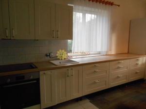 Pronájem bytu 4+1, Tisová, 140 m2