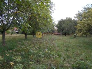 Pronájem rodinného domu, Tisová, 140 m2