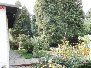 Prodej rodinného domu, Pertoltice pod Ralskem, 153 m2