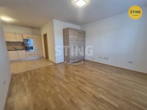 Pronájem bytu 1+kk, Ostrava, Gen. Sochora, 43 m2