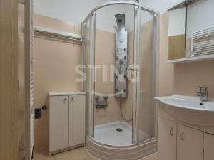 Pronájem bytu 1+kk, Ostrava, Gen. Sochora, 43 m2