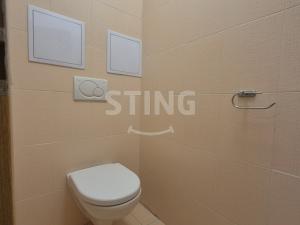 Pronájem bytu 1+kk, Ostrava, Gen. Sochora, 43 m2