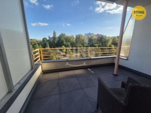 Pronájem bytu 1+kk, Ostrava, Gen. Sochora, 43 m2