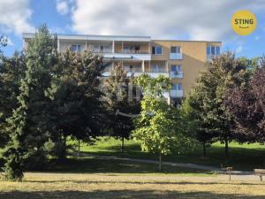 Pronájem bytu 1+kk, Ostrava, Gen. Sochora, 43 m2