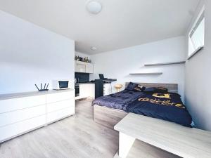 Prodej bytu 1+kk, Vizovice, 3. května, 26 m2