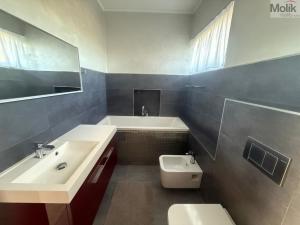 Pronájem rodinného domu, Háj u Duchcova - Domaslavice, Lesní stezka, 768 m2