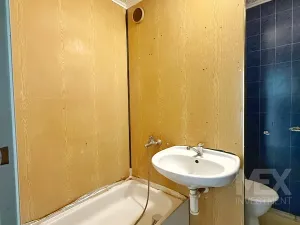 Prodej bytu 1+1, Skořenice, 35 m2