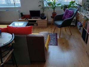 Pronájem bytu 1+kk, Město Albrechtice, nám. ČSA, 35 m2