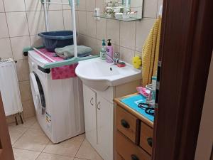 Pronájem bytu 1+kk, Město Albrechtice, nám. ČSA, 35 m2