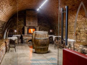 Prodej obchodního prostoru, Znojmo - Popice, 1700 m2