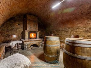 Prodej obchodního prostoru, Znojmo - Popice, 1700 m2