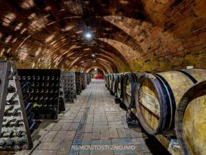 Prodej obchodního prostoru, Znojmo - Popice, 1700 m2