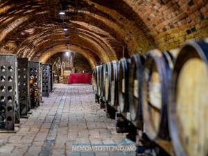 Prodej obchodního prostoru, Znojmo - Popice, 1700 m2