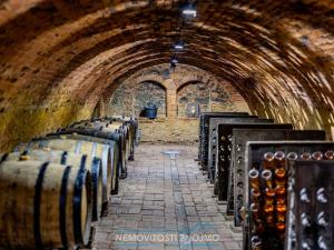 Prodej obchodního prostoru, Znojmo - Popice, 1700 m2